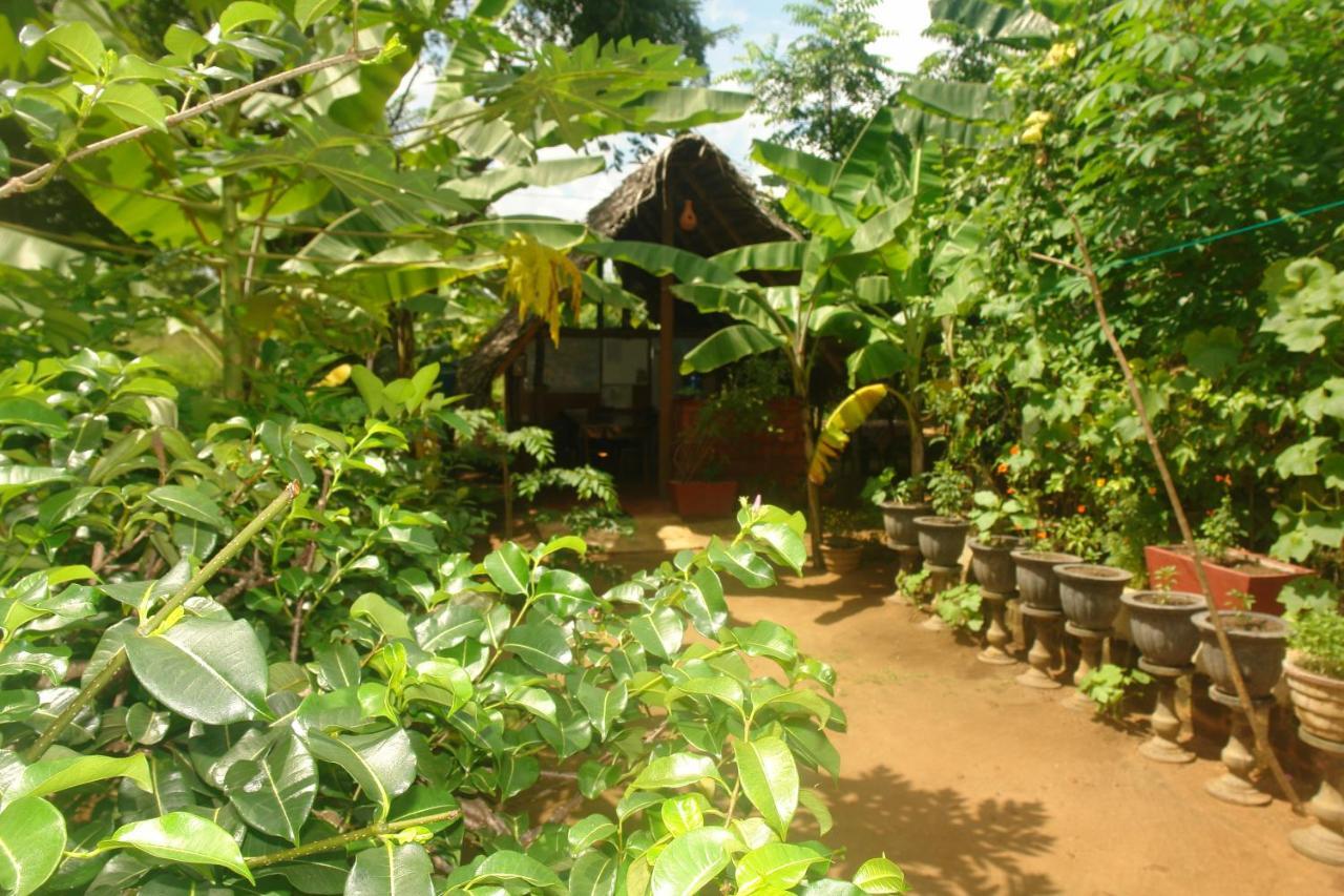 Homestay Camping Anuradhapura Exterior photo